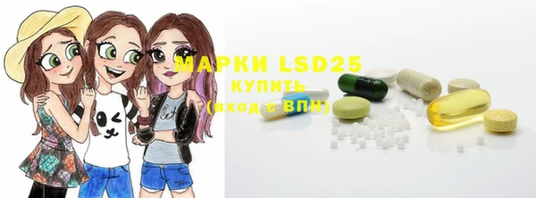 индика Алексеевка